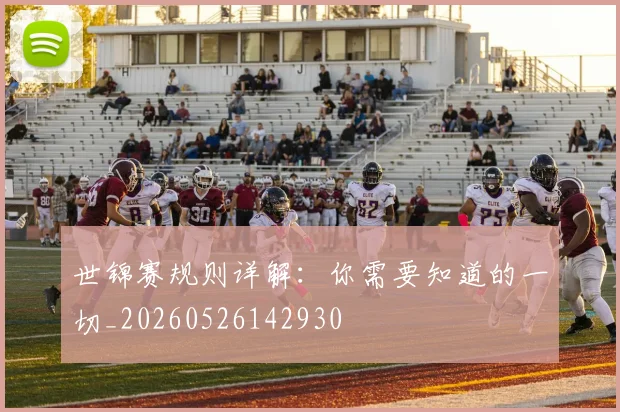 世锦赛规则详解:你需要知道的一切_20260526142930